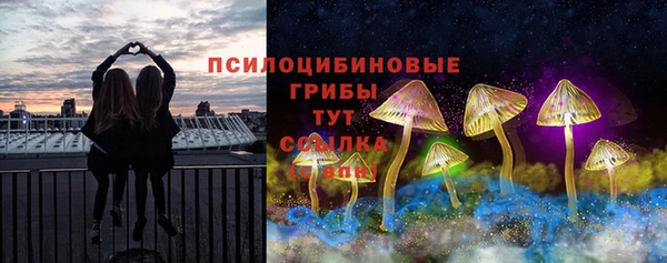 молекула духа Алексеевка