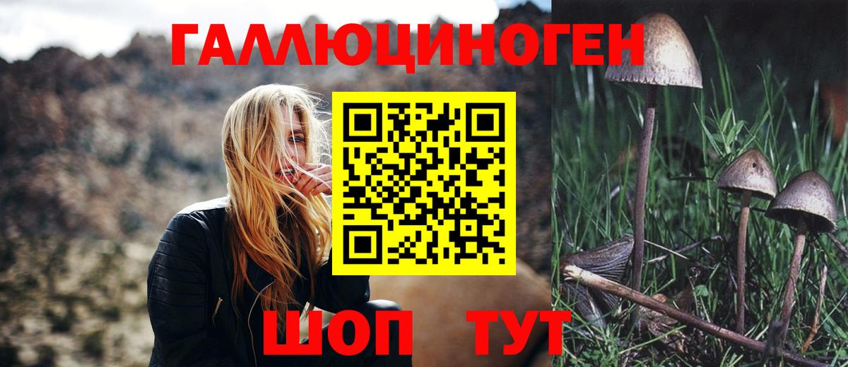 купить наркоту  Псилоцибиновые грибы MAGIC MUSHROOMS  Вход с VPN  Томск 