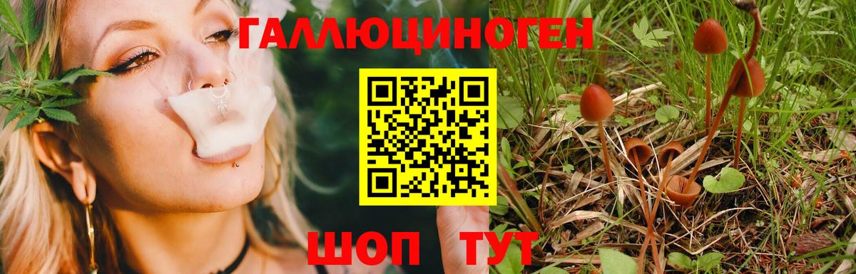 Галлюциногенные грибы Magic Shrooms Томск
